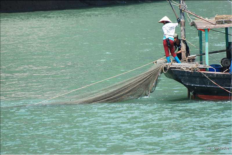 9 La baie d'Halong est composée de près de 2.000 îles sillonnées par des bateaux de pêcheurs, etc. (21)