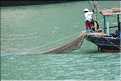 9 La baie d'Halong est composée de près de 2.000 îles sillonnées par des bateaux de pêcheurs, etc. (21)