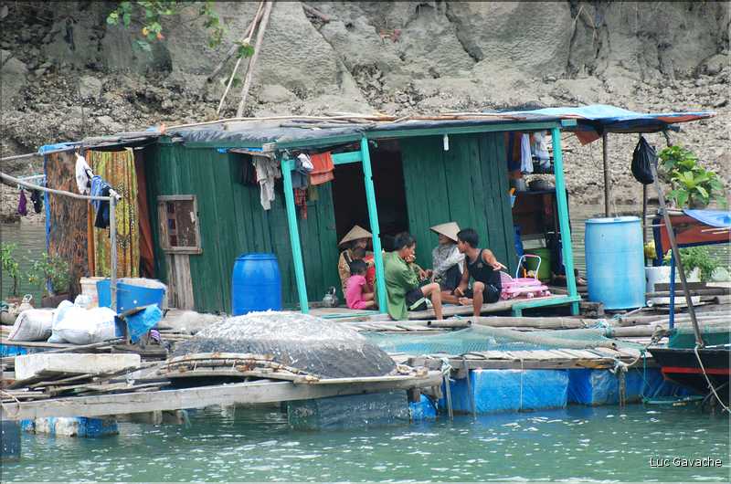 9 La baie d'Halong est composée de près de 2.000 îles sillonnées par des bateaux de pêcheurs, etc. (44)
