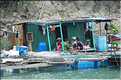 9 La baie d'Halong est composée de près de 2.000 îles sillonnées par des bateaux de pêcheurs, etc. (44)