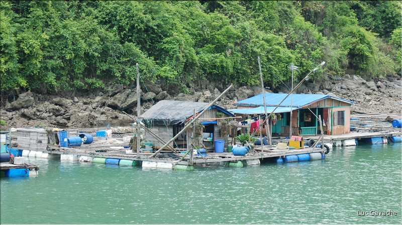 9 La baie d'Halong est composée de près de 2.000 îles sillonnées par des bateaux de pêcheurs, etc. (45)
