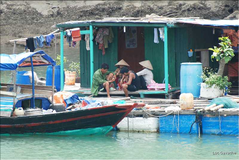 9 La baie d'Halong est composée de près de 2.000 îles sillonnées par des bateaux de pêcheurs, etc. (48)