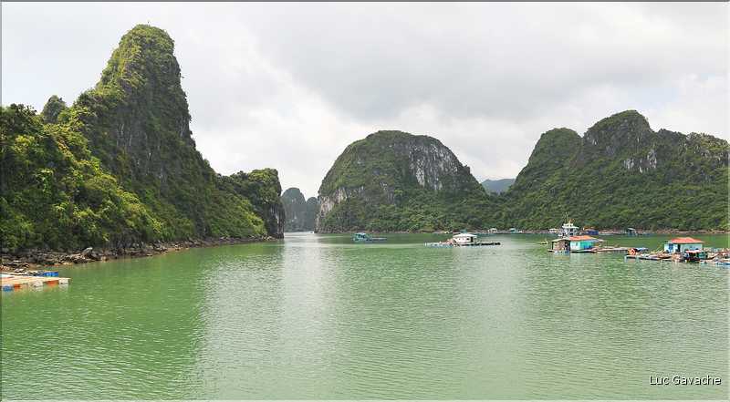 9 La baie d'Halong est composée de près de 2.000 îles sillonnées par des bateaux de pêcheurs, etc. (49)