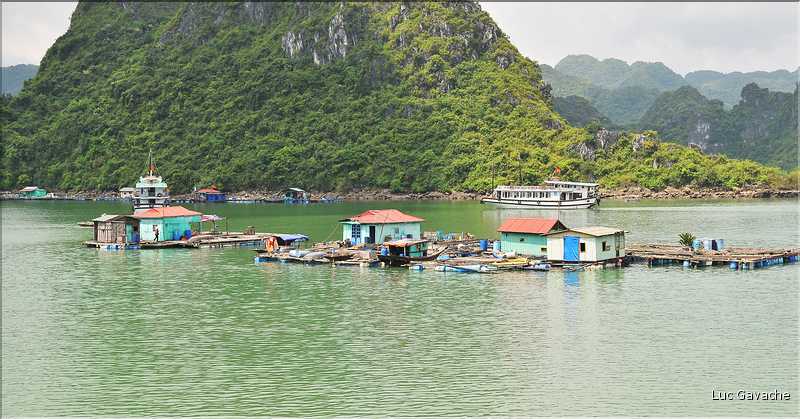 9 La baie d'Halong est composée de près de 2.000 îles sillonnées par des bateaux de pêcheurs, etc. (51)
