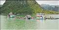 9 La baie d'Halong est composée de près de 2.000 îles sillonnées par des bateaux de pêcheurs, etc. (51)