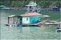 9 La baie d'Halong est composée de près de 2.000 îles sillonnées par des bateaux de pêcheurs, etc. (52)