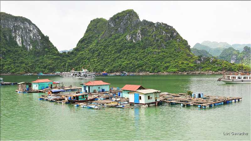 9 La baie d'Halong est composée de près de 2.000 îles sillonnées par des bateaux de pêcheurs, etc. (53)