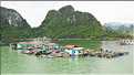 9 La baie d'Halong est composée de près de 2.000 îles sillonnées par des bateaux de pêcheurs, etc. (53)