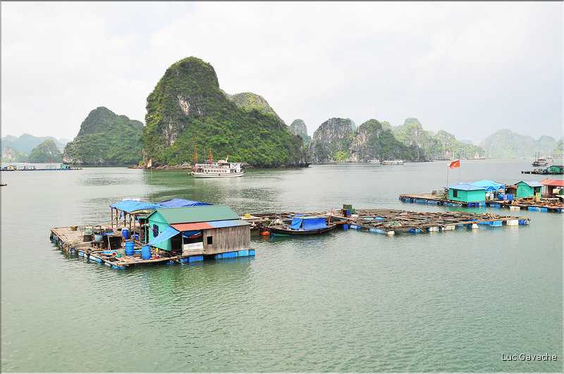 9 La baie d'Halong est composée de près de 2.000 îles sillonnées par des bateaux de pêcheurs, etc. (54)