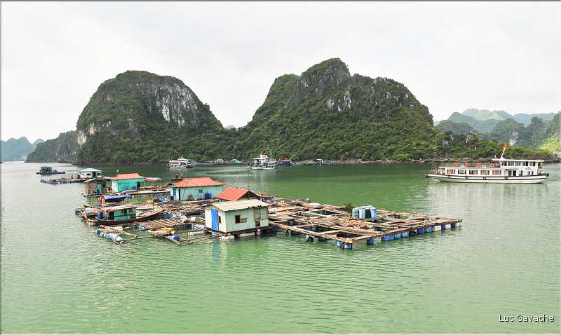 9 La baie d'Halong est composée de près de 2.000 îles sillonnées par des bateaux de pêcheurs, etc. (55)