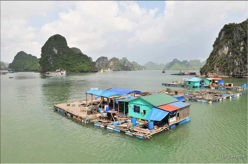 9 La baie d'Halong est composée de près de 2.000 îles sillonnées par des bateaux de pêcheurs, etc. (56)