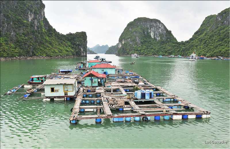 9 La baie d'Halong est composée de près de 2.000 îles sillonnées par des bateaux de pêcheurs, etc. (57)