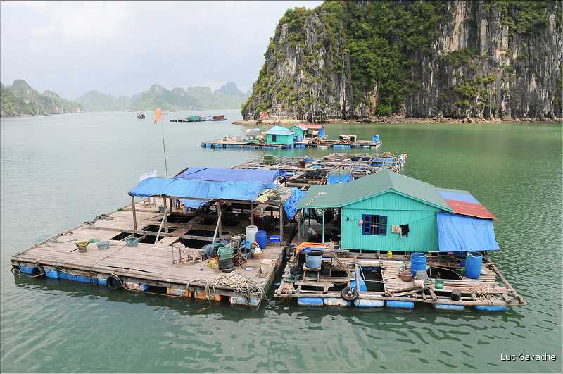 9 La baie d'Halong est composée de près de 2.000 îles sillonnées par des bateaux de pêcheurs, etc. (58)