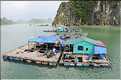 9 La baie d'Halong est composée de près de 2.000 îles sillonnées par des bateaux de pêcheurs, etc. (58)
