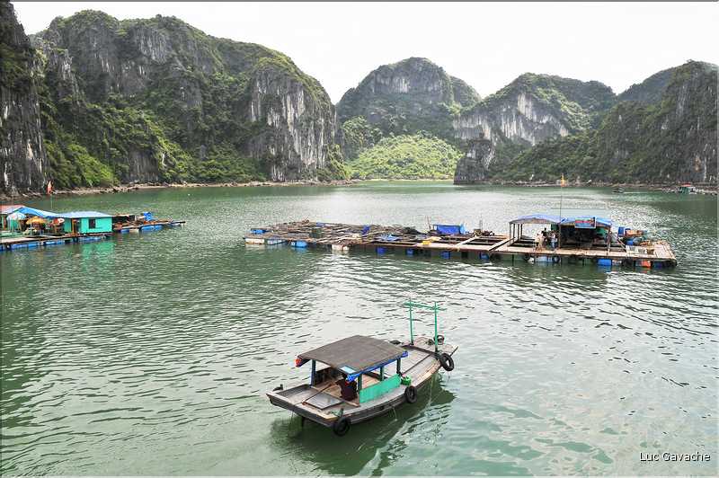 9 La baie d'Halong est composée de près de 2.000 îles sillonnées par des bateaux de pêcheurs, etc. (63)