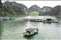 9 La baie d'Halong est composée de près de 2.000 îles sillonnées par des bateaux de pêcheurs, etc. (63)