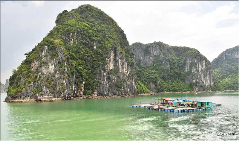 9 La baie d'Halong est composée de près de 2.000 îles sillonnées par des bateaux de pêcheurs, etc. (65)