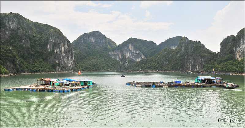 9 La baie d'Halong est composée de près de 2.000 îles sillonnées par des bateaux de pêcheurs, etc. (66)