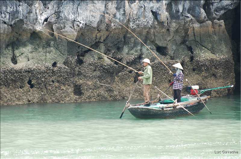 9 La baie d'Halong est composée de près de 2.000 îles sillonnées par des bateaux de pêcheurs, etc. (76)