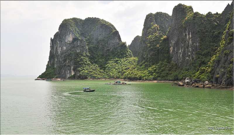 9 La baie d'Halong est composée de près de 2.000 îles sillonnées par des bateaux de pêcheurs, etc. (78)