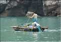 9 La baie d'Halong est composée de près de 2.000 îles sillonnées par des bateaux de pêcheurs, etc. (92)