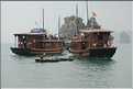 9 La baie d'Halong est composée de près de 2.000 îles sillonnées par des bateaux de pêcheurs, etc. (97)