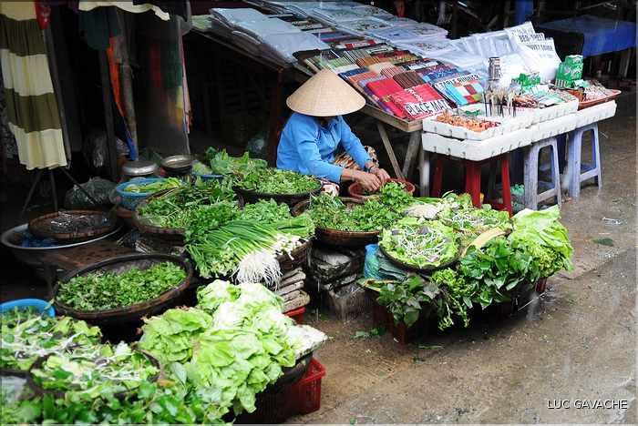 Le marché de Hoi An sous la pluie. (10)