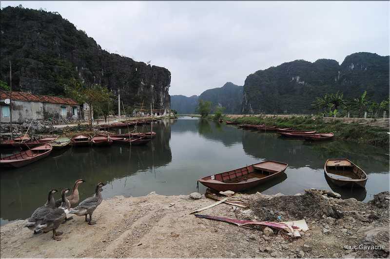 Paysages le long de la route d'accès à la Pagode Bich Dong Nam Dinh. (3)