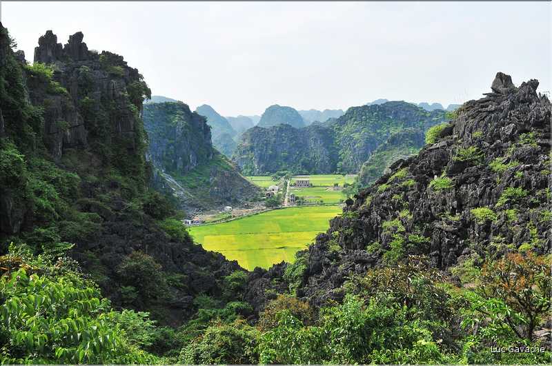 La baie d'Halong terrestre -Ninh Binh- vu de Hang Muà. (10)