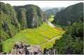La baie d'Halong terrestre -Ninh Binh- vu de Hang Muà. (13)
