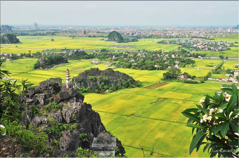 La baie d'Halong terrestre -Ninh Binh- vu de Hang Muà. (14)