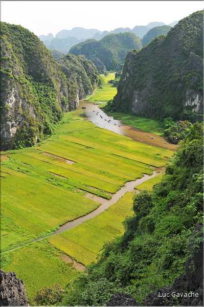 La baie d'Halong terrestre -Ninh Binh- vu de Hang Muà. (15)