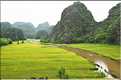 La baie d'Halong terrestre est parsemée de pitons calcaires, de grottes, de rizières, de scènes de vie, etc... (32)