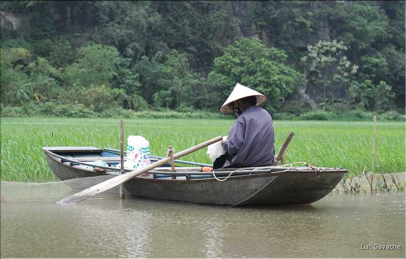 La baie d'Halong terrestre est parsemée de pitons calcaires, de grottes, de rizières, de scènes de vie, etc... (49)