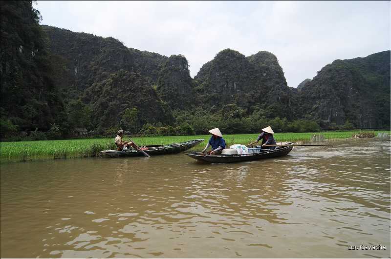 La baie d'Halong terrestre est parsemée de pitons calcaires, de grottes, de rizières, de scènes de vie, etc... (52)