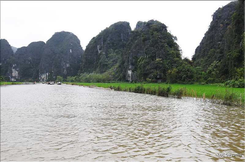 La baie d'Halong terrestre est parsemée de pitons calcaires, de grottes, de rizières, de scènes de vie, etc... (73)