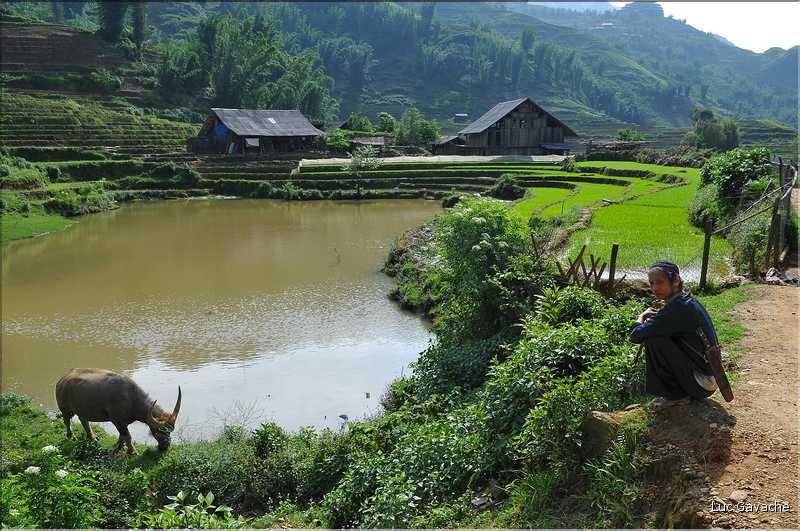Cat Cat est le premier village que l'on traverse lorsqu'on descend la vallée de Sapa. (6)