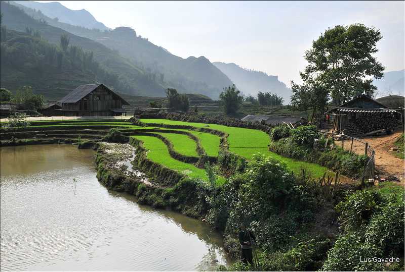 Cat Cat est le premier village que l'on traverse lorsqu'on descend la vallée de Sapa. (9)