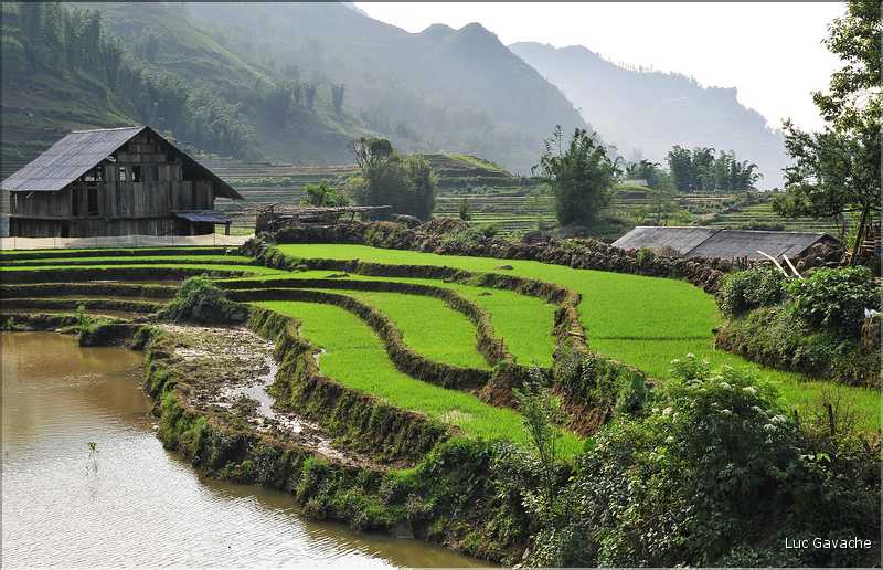 Cat Cat est le premier village que l'on traverse lorsqu'on descend la vallée de Sapa. (11)