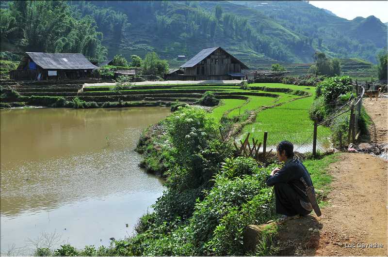 Cat Cat est le premier village que l'on traverse lorsqu'on descend la vallée de Sapa. (12)