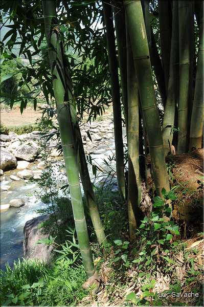 Après une zone escarpée de la vallée Muong Hoa ... (7)