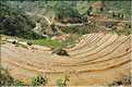 ...  les cultures, principalement de riz, se succèdent. (86)