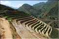 ...  les cultures, principalement de riz, se succèdent. (105)