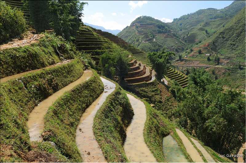 ...  les cultures, principalement de riz, se succèdent. (110)