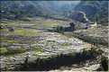...  les cultures, principalement de riz, se succèdent. (138)