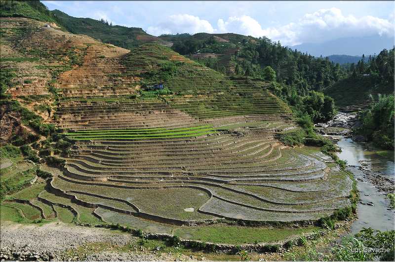 Les environs et le Village de Ta Phin dans la région de Sapa -ethnie des Dzao Rouge-. (1)