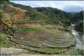 Les environs et le Village de Ta Phin dans la région de Sapa -ethnie des Dzao Rouge-. (1)