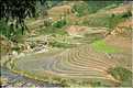 Les environs et le Village de Ta Phin dans la région de Sapa -ethnie des Dzao Rouge-. (4)