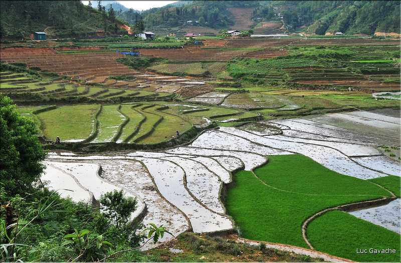 Les environs et le Village de Ta Phin dans la région de Sapa -ethnie des Dzao Rouge-. (7)