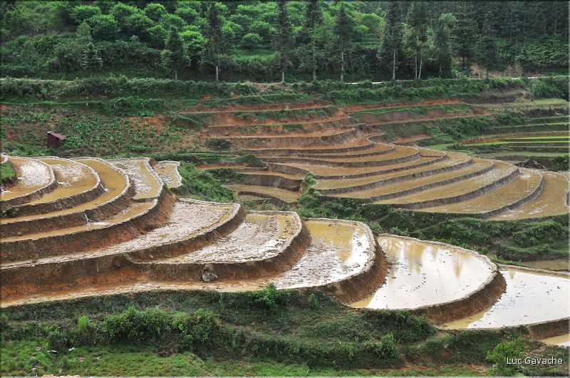 Les environs et le Village de Ta Phin dans la région de Sapa -ethnie des Dzao Rouge-. (10)
